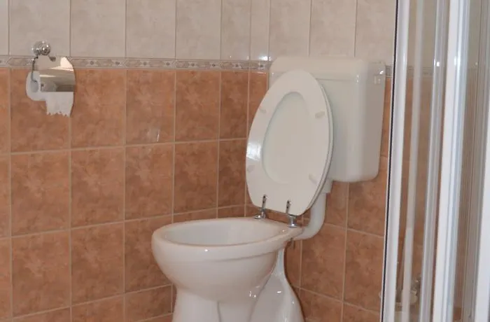 Гостевой дом Ladver